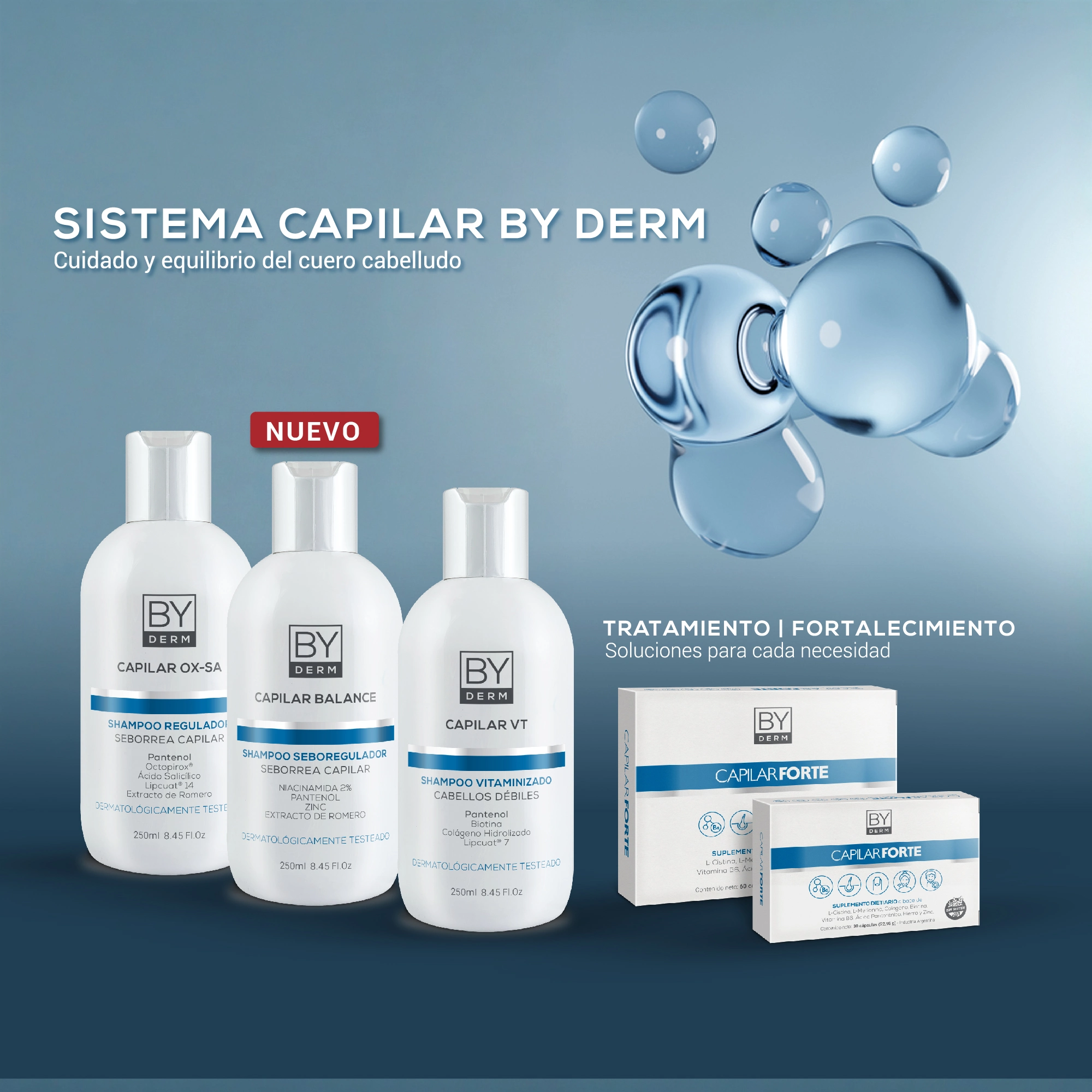 Sistema Capilar