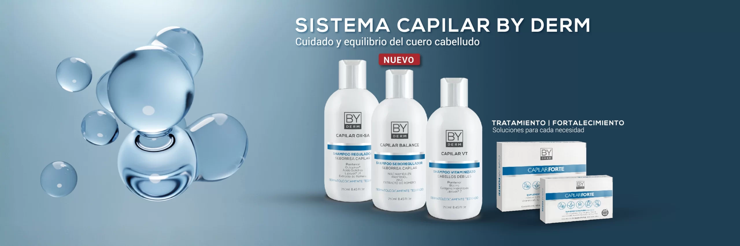 Sistema Capilar